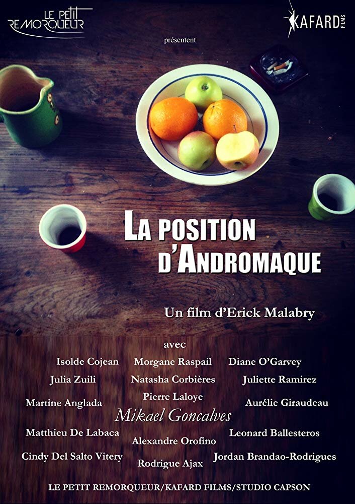 La position d'Andromaque (2017)