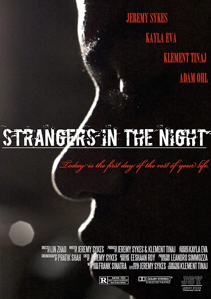 Strangers in the Night (2016)