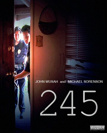 245 (2013)